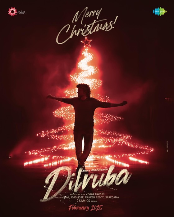 Dilruba Christmas special poster